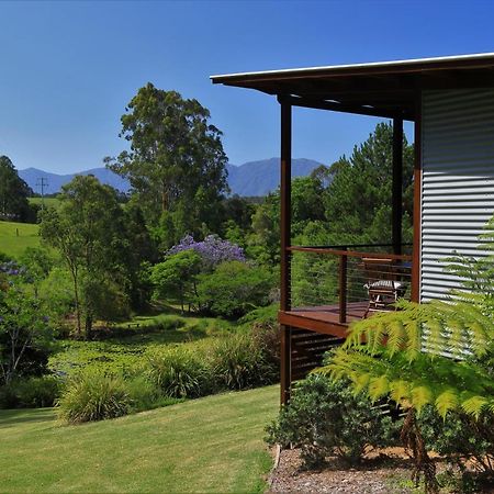 Lilypad Luxury Cabins Bellingen Eksteriør billede