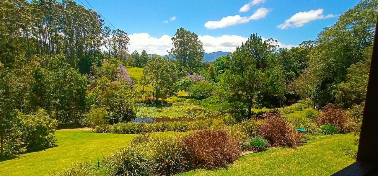 Lilypad Luxury Cabins Bellingen Eksteriør billede