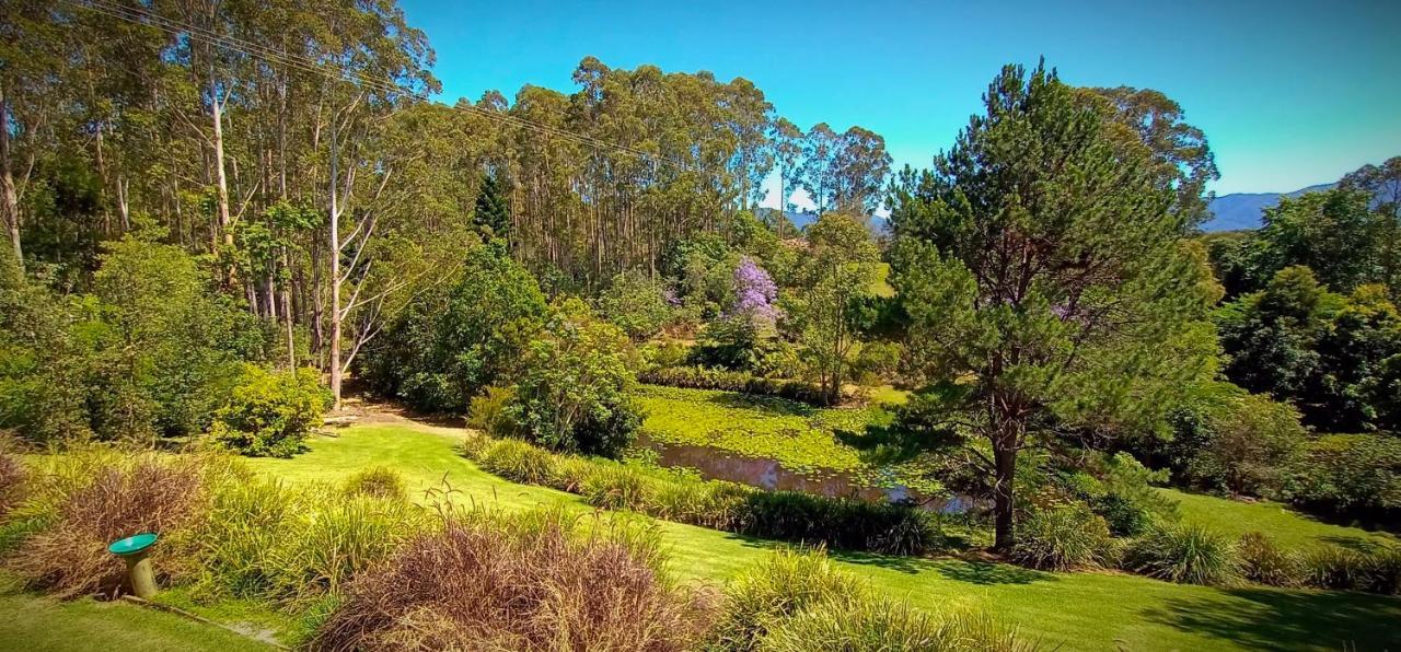 Lilypad Luxury Cabins Bellingen Eksteriør billede